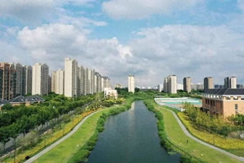 推窗見綠,楊浦正越變越美